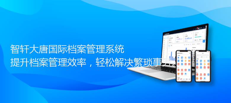 大唐国际档案管理系统